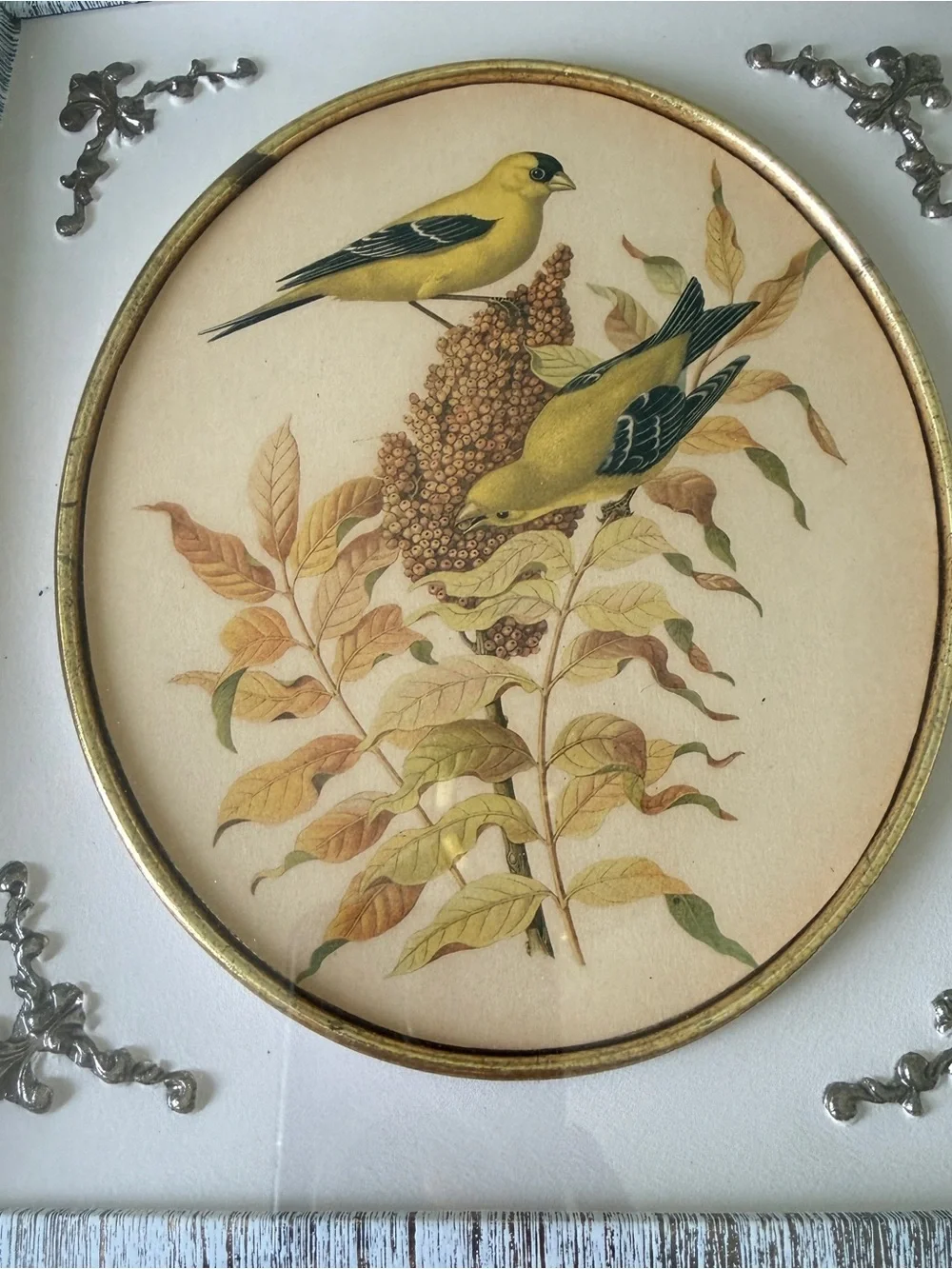 MCM Vintage Rudolph Freund Bird Framed Art Print Turner Mfg. Co. Chicago